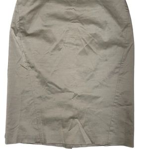 Ann Taylor Tan Skirt Sz(4)